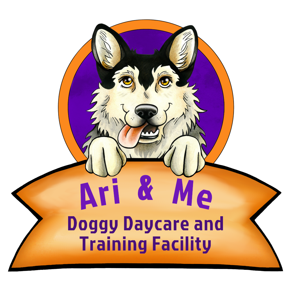 Get your first day of doggy daycare Ari & Me Doggy